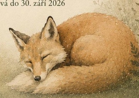 Vernisáž obrazů Jolany Witkové